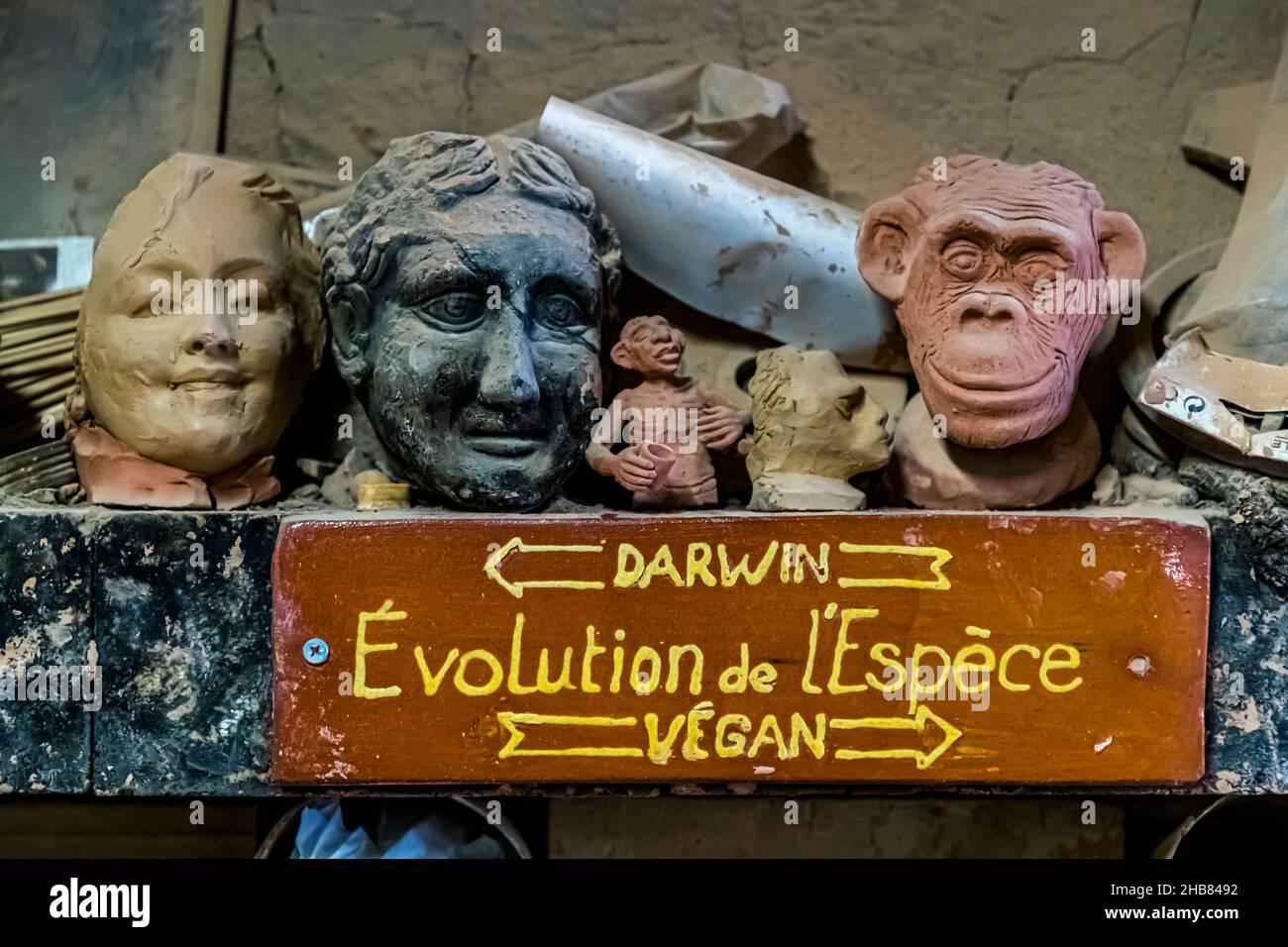 Evolution of the species according to the vegan way or according to Darwin. Still life in the pottery of the Not brothers in Mas-Saintes-Puelles, France Stock Photo