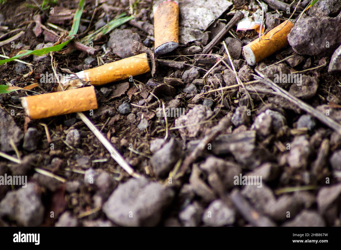 Cigarette butt with filter thrown on the ground pollution ecology ...