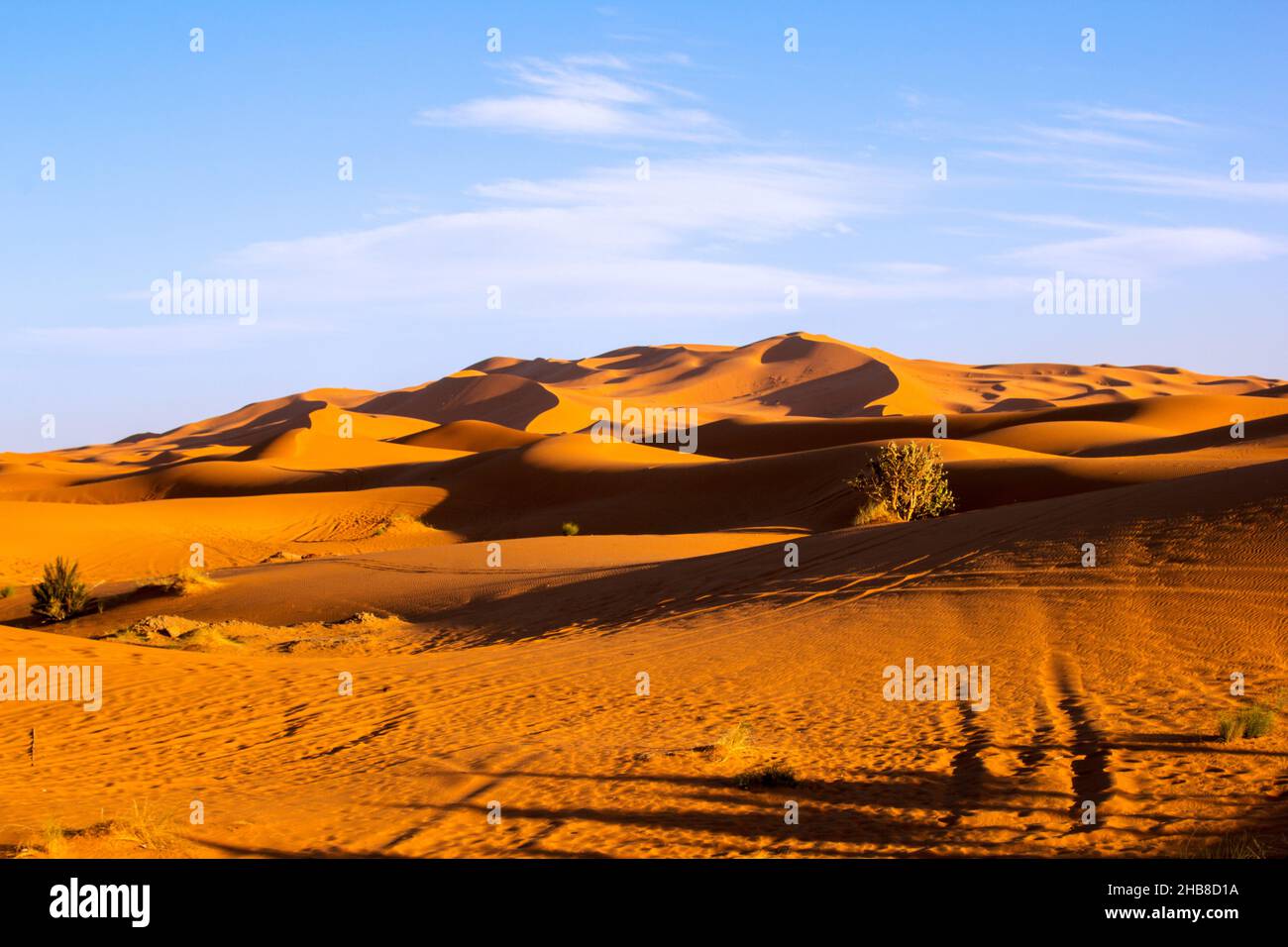 Sand dunes with lines and shadow in Sahara Desert under blue sunny sky ...