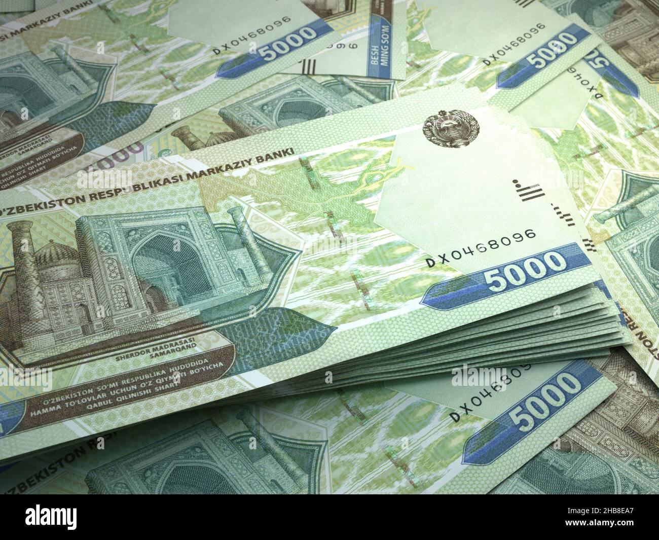 Money of Uzbekistan. Som bills. UZS banknotes. 5000 Uzbek. Business ...