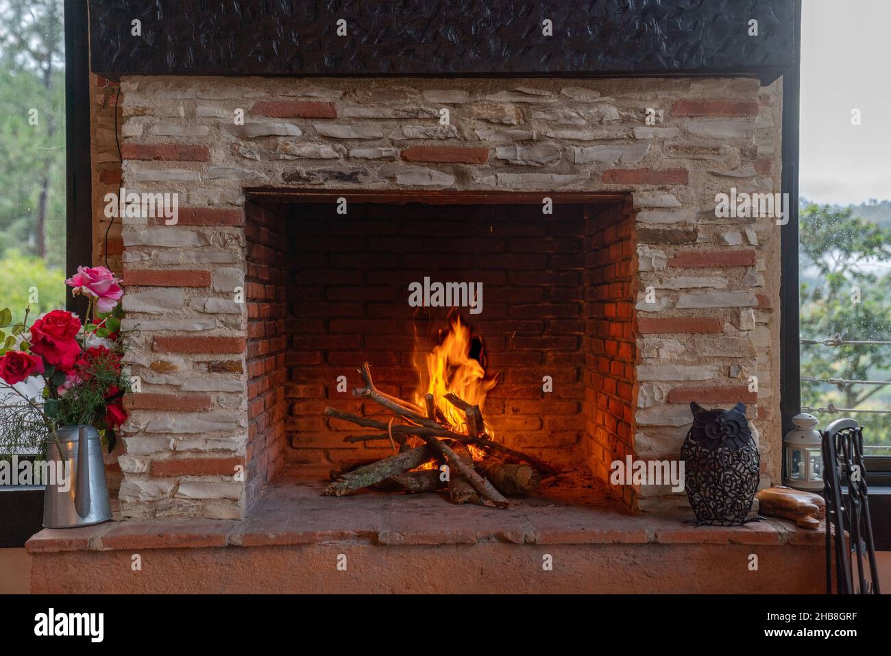 Burning wood in the fireplace Stock Photo - Alamy