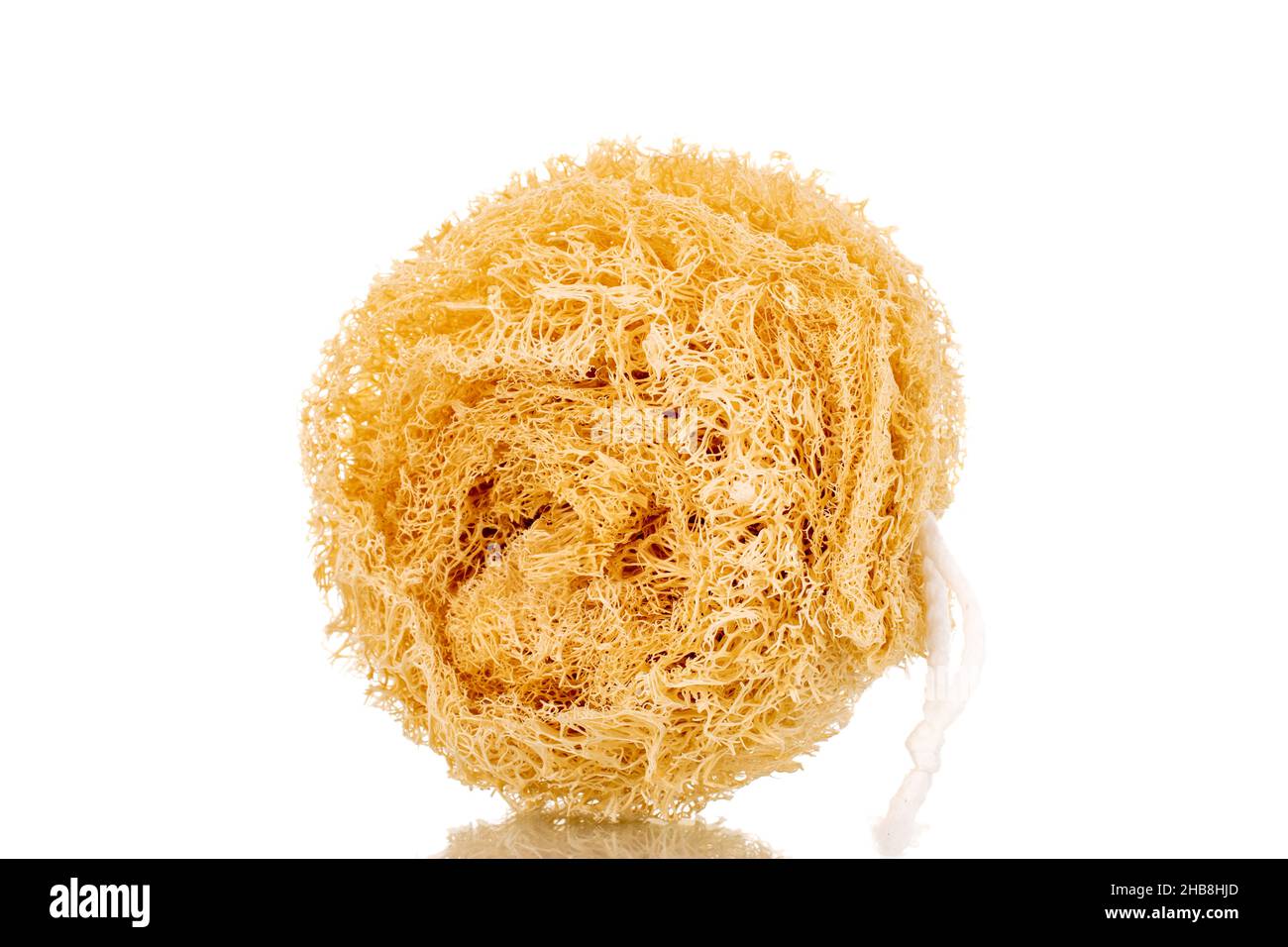 One shower sponge made of loofah, closeup, isolated on white Stock
