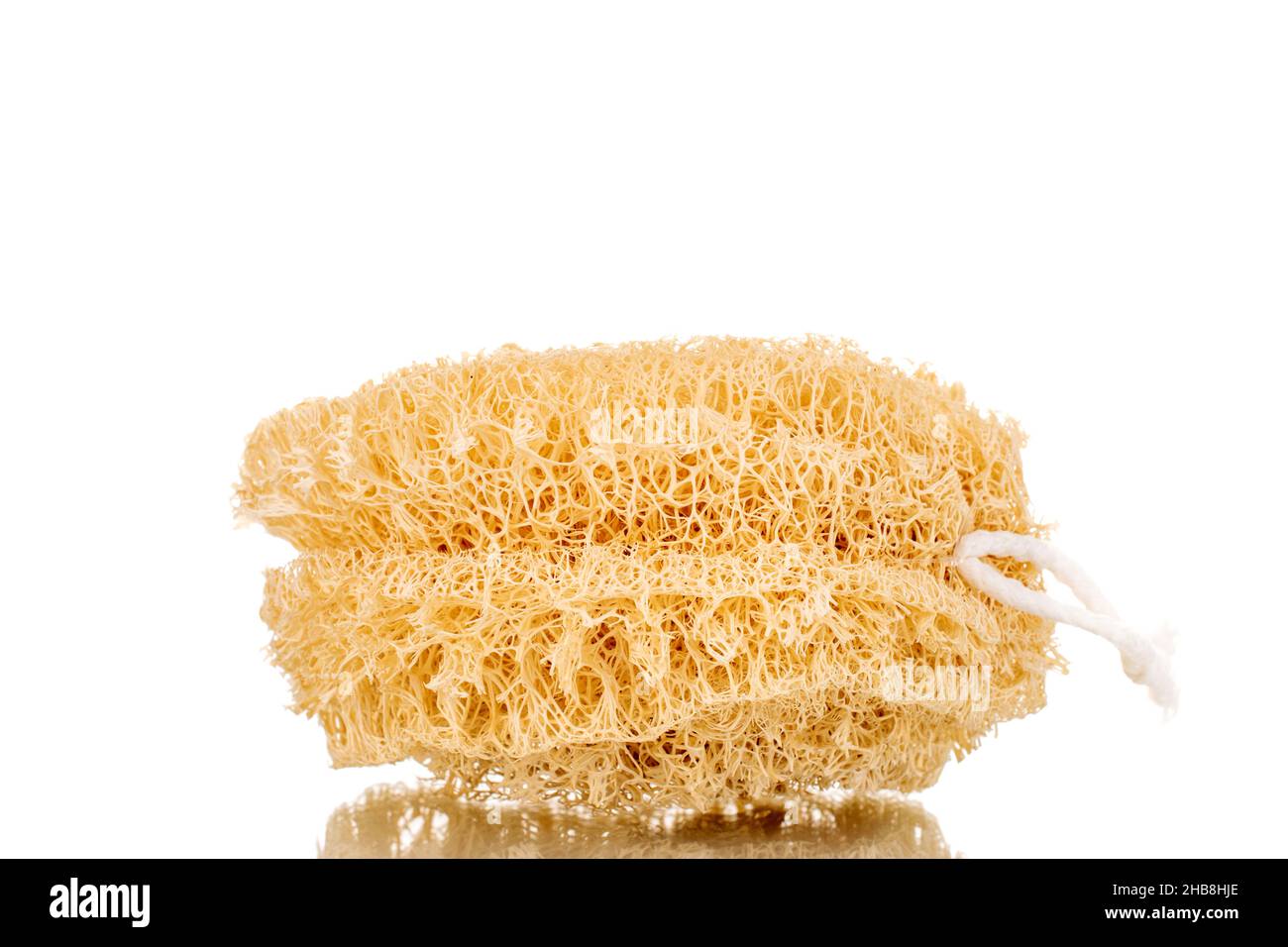 One shower sponge made of loofah, closeup, isolated on white Stock