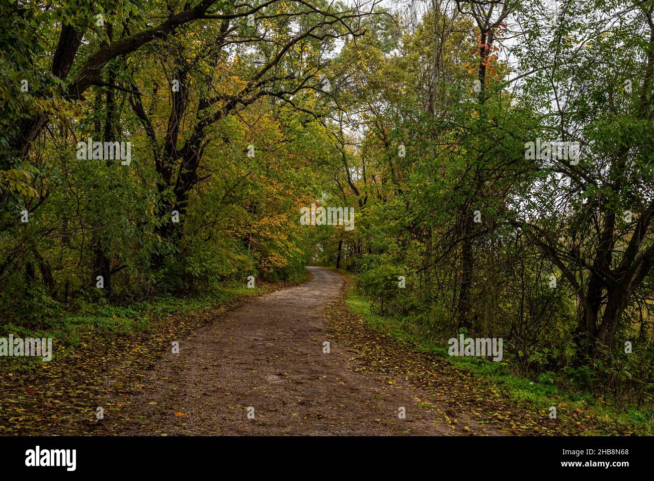 A rural asphalt road in Parke County, Indiana on a rainy day during the