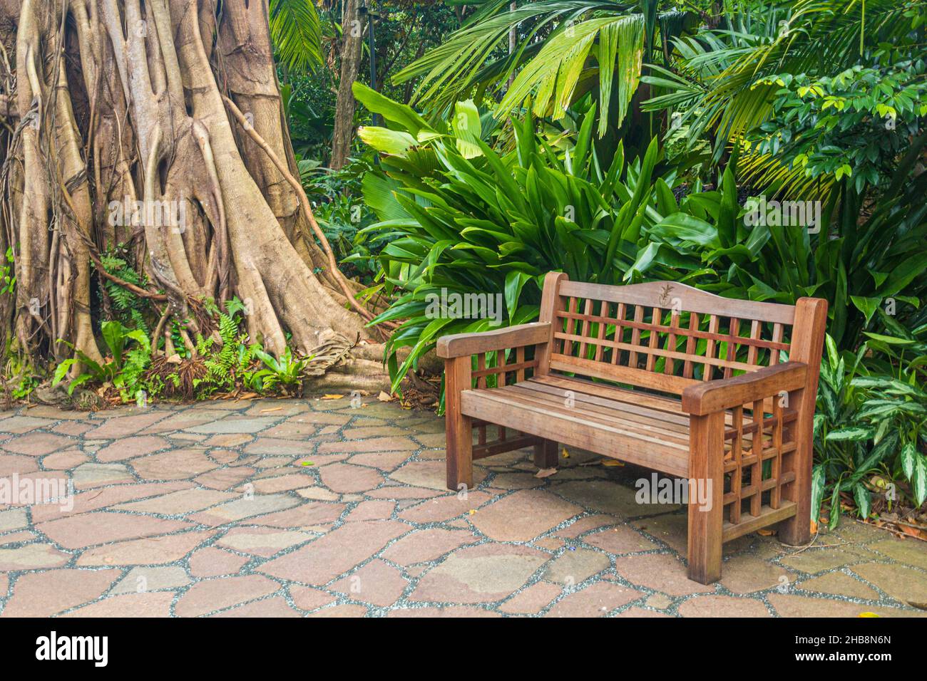 Bench in Singapore Botanic Gardens Stock Photo Alamy