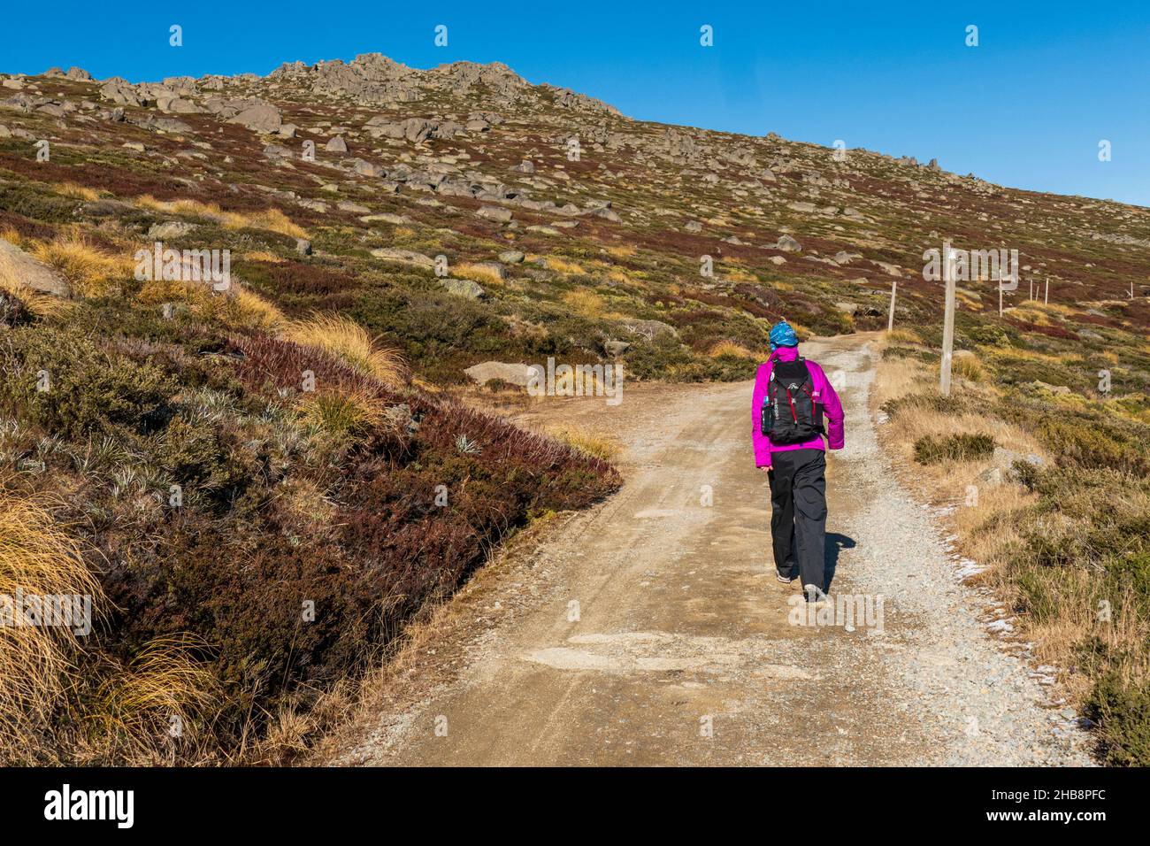 Australia, NSW, Kosciuszko National Park, Woman hiking at Charlotte Pass Stock Photo