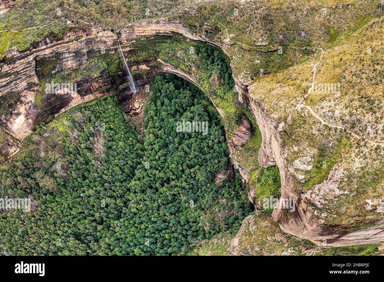 Australia, NSW, Blue Mountains National Park, Aerial view of forest in canyon Stock Photo