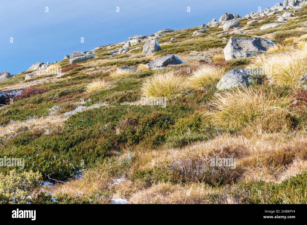Australia, NSW, Kosciuszko National Park, Rocks on grassy hill Stock Photo