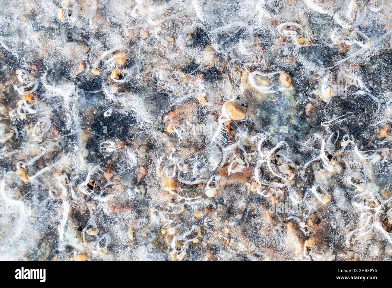 Pebbles in frozen river Stock Photo