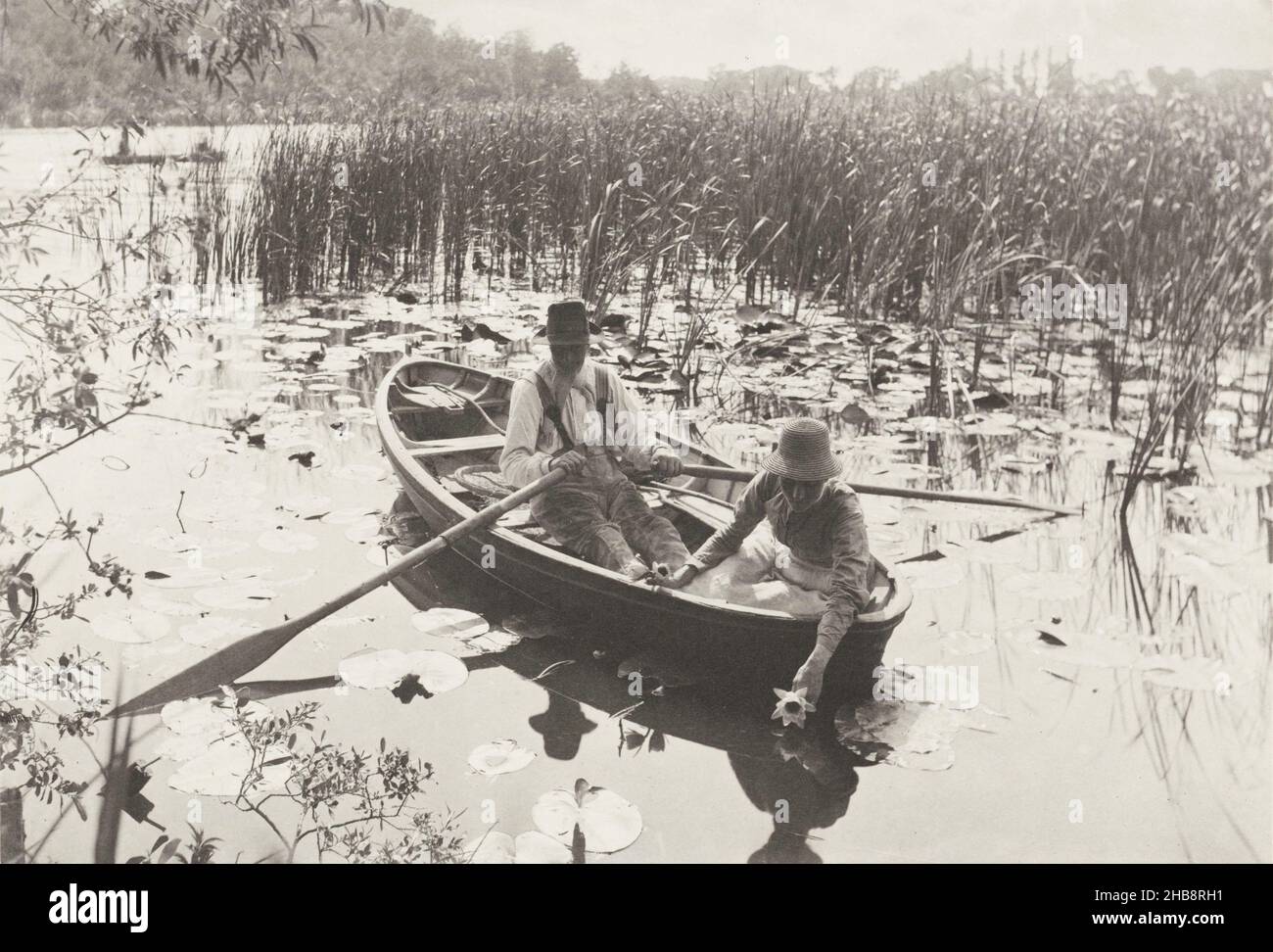 Water-lily pickers in a rowboat on the Norfolk Broads, Gathering Water-Lilies (title on object), Peter Henry Emerson (attributed to), publisher: Marston, Searle, & Rivington Sampson Low (attributed to), Norfolk, publisher: Great Britain, 1885 - 1886, photographic support, cardboard, height 198 mm × width 290 mmheight 289 mm × width 413 mm Stock Photo