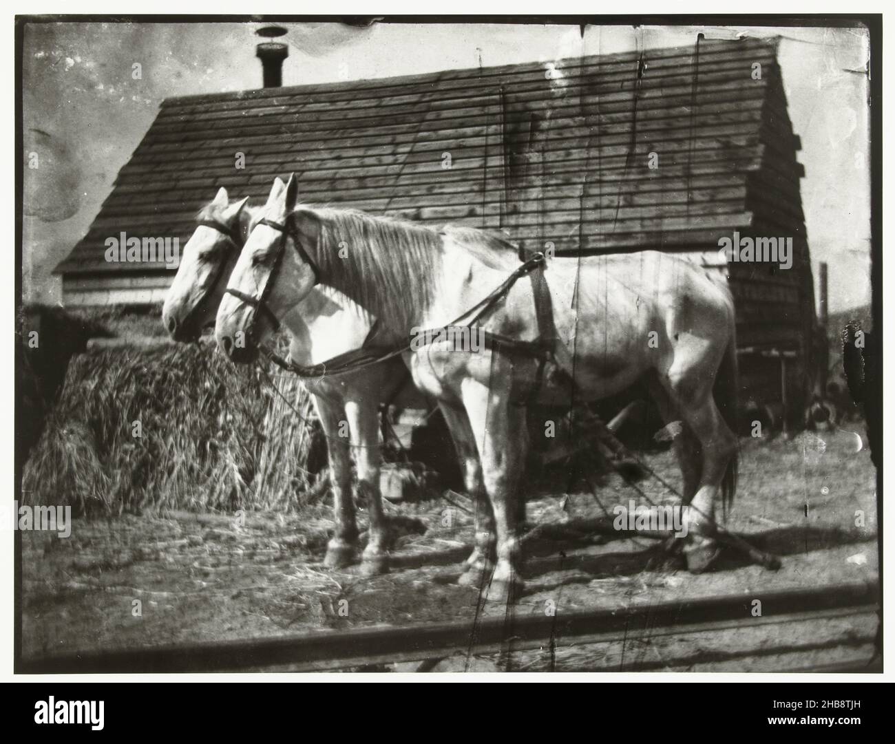 Horses on the Cruquius road, George Hendrik Breitner, printer: Harm Botman (mentioned on object), Amsterdam, printer: Netherlands, c. 1890 - c. 1910, paper, gelatin silver print, height 50.5 cm × width 40.5 cmheight 40.0 cm × width 30.1 cm Stock Photo