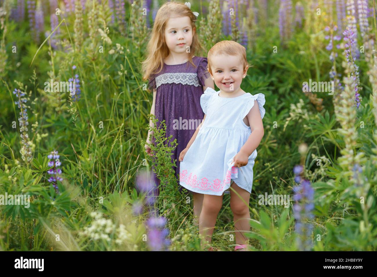 Cute, little girls in dresses walking. Funny smiling children on the field. Kids play outdoor. Concept of happy childhood, friendship and summer leisu Stock Photo