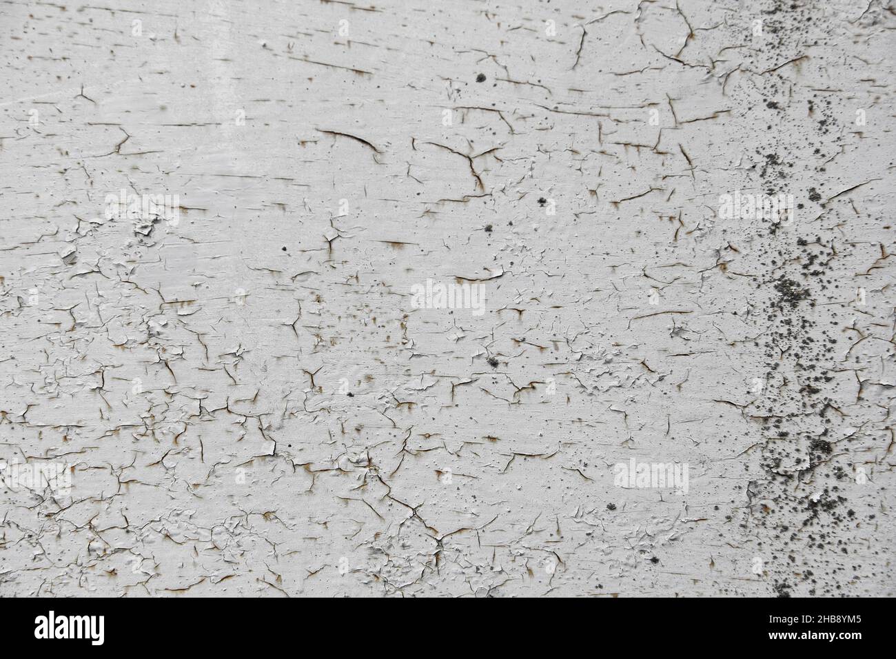 Shabby old paint background. Vintage ancient background. Gray tint of textured old wall. Cracked paint Stock Photo