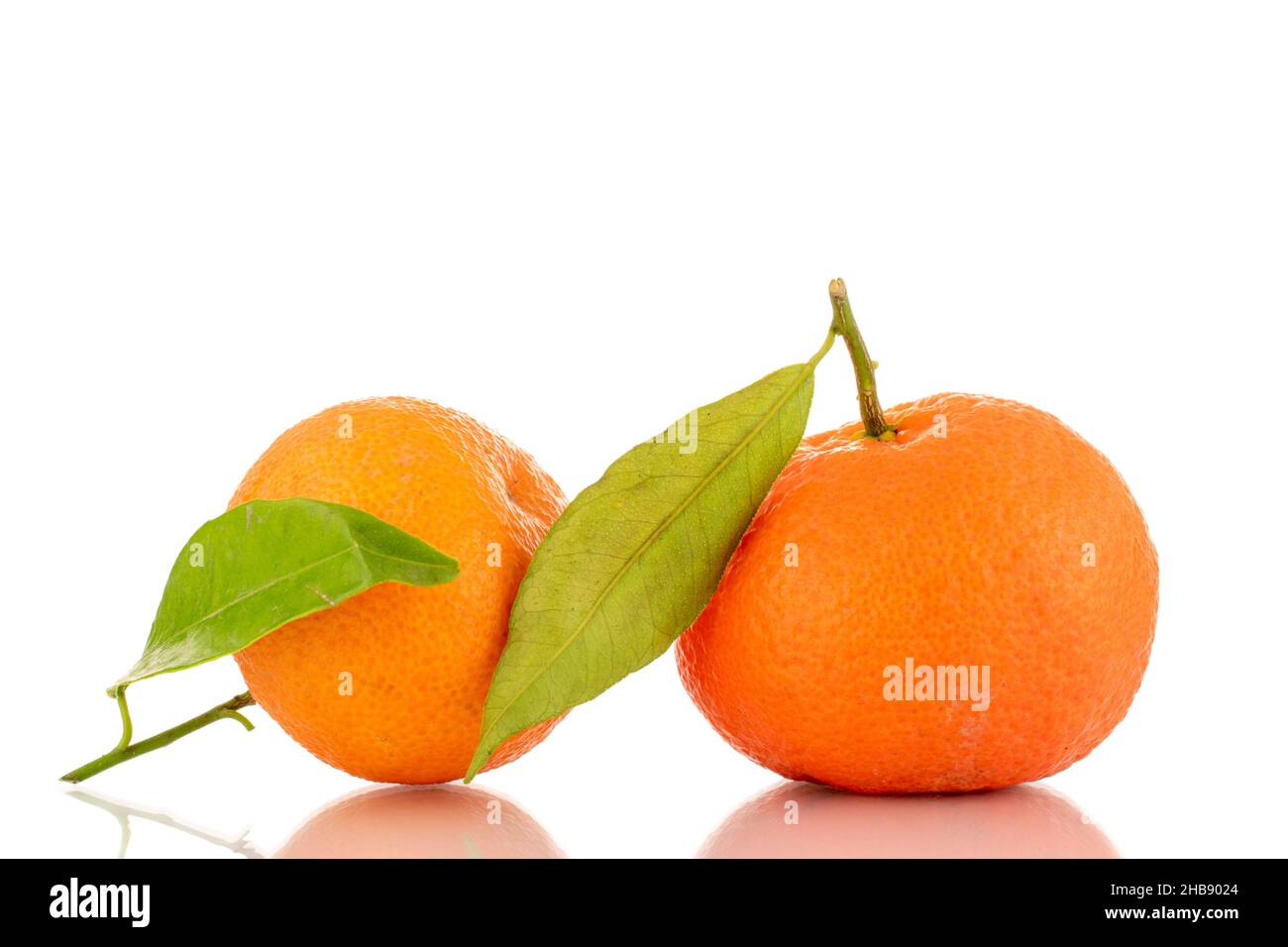 Net bag with many fresh ripe tangerines, closeup Stock Photo - Alamy