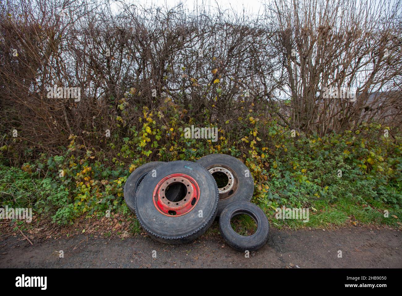 Discarded and dumped tyres lay in a hedgerow in a Worcestershire country lane causing an eyesore and possible future pollution. Stock Photo