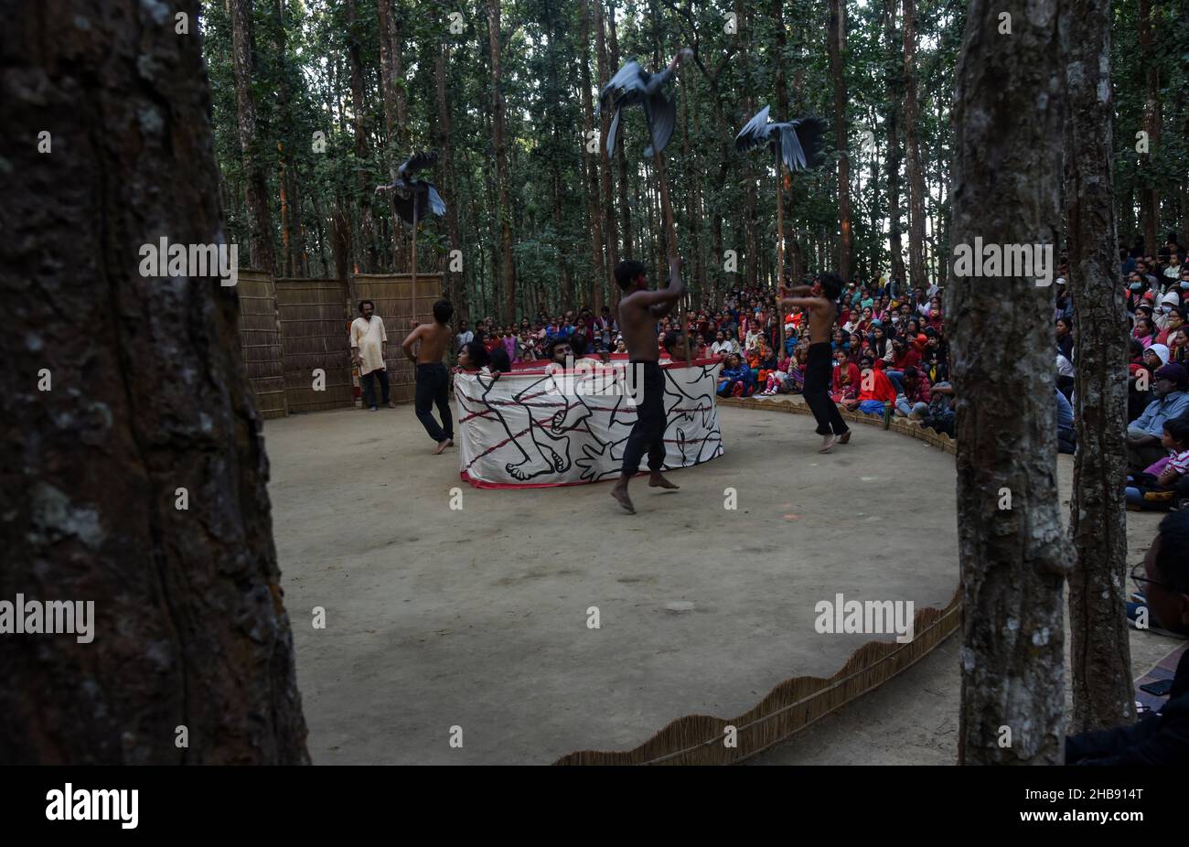 Under The Sal Tree High Resolution Stock Photography and Images - Alamy