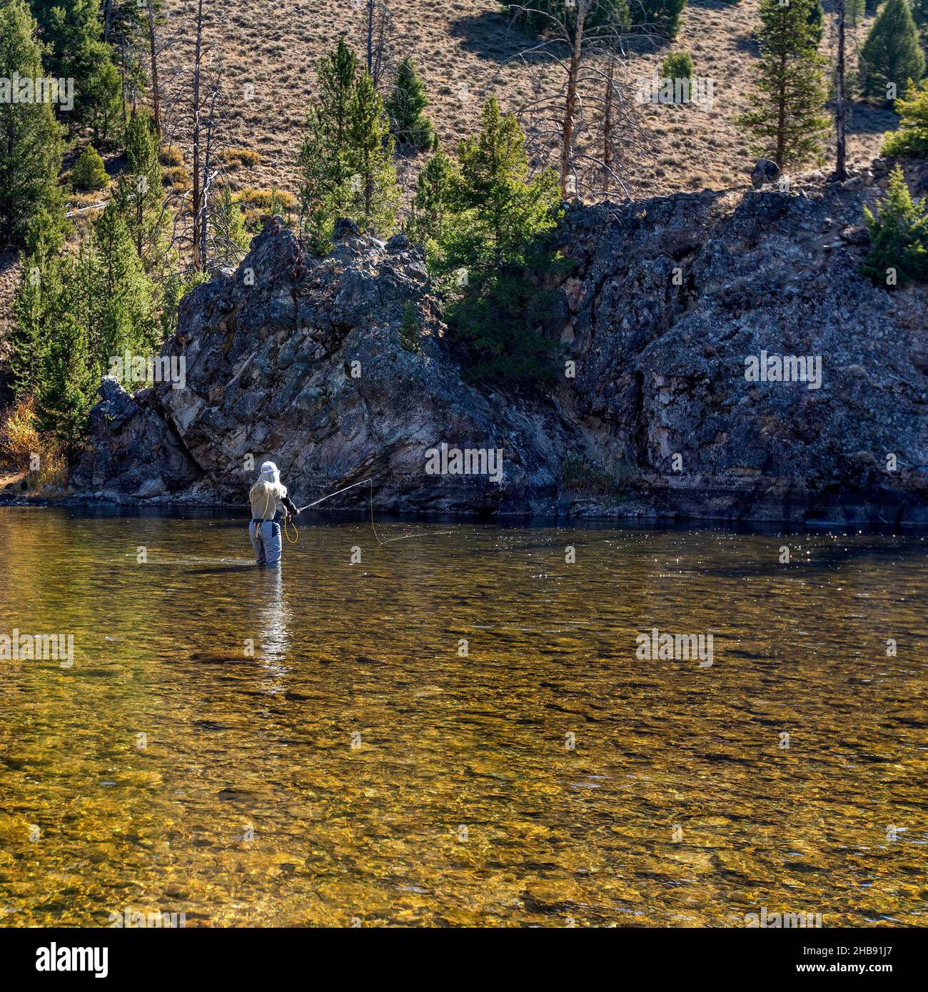 USA, Idaho, Stanley, Woman fly-fishing in Salmon River Stock Photo