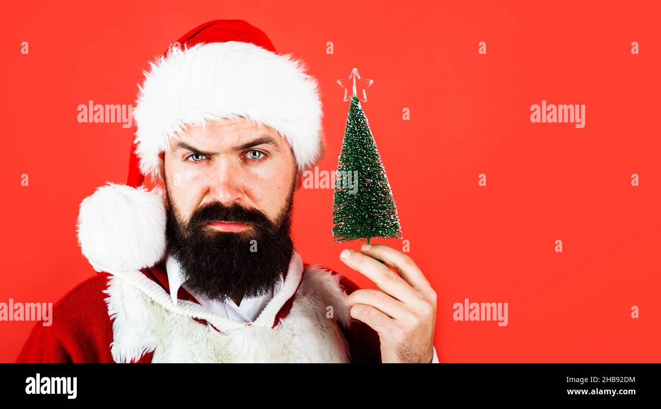 Santa Claus with little Christmas tree. Bearded man in Santa hat. New Year decoration. Closeup. Copy space Stock Photo