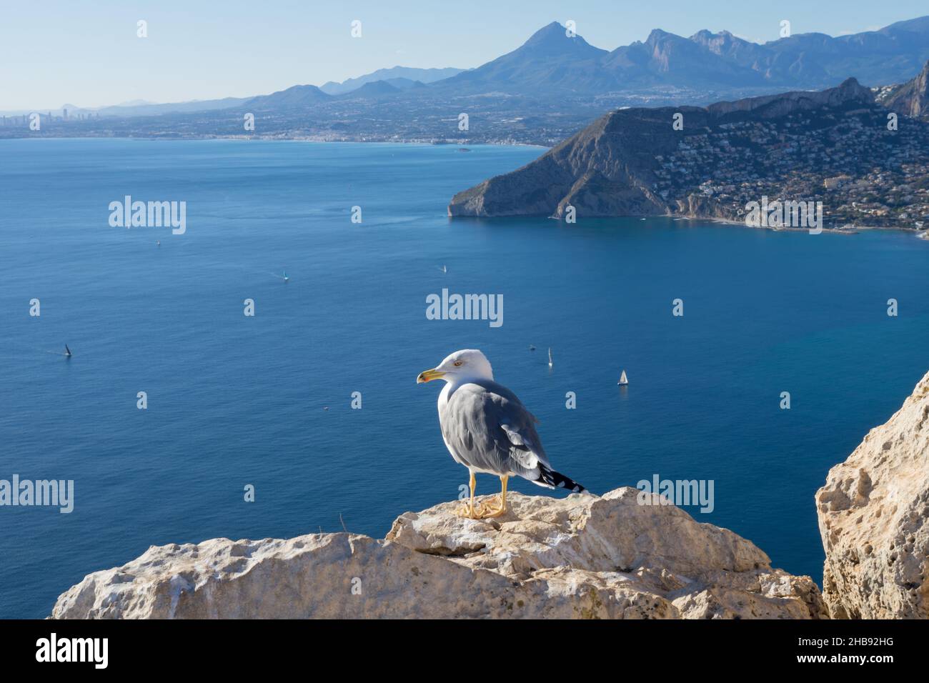 seagull and beautiful mountains on the mediterranean coast in spain Stock Photo