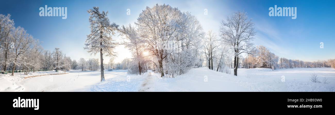 Panorama of beautiful winter park Stock Photo