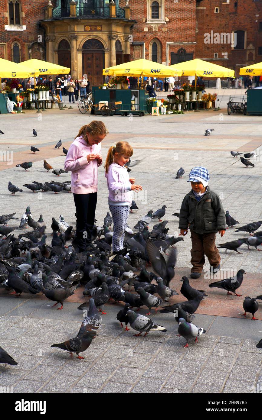 Poland, Cracow, pigeons on marketplace. Stock Photo