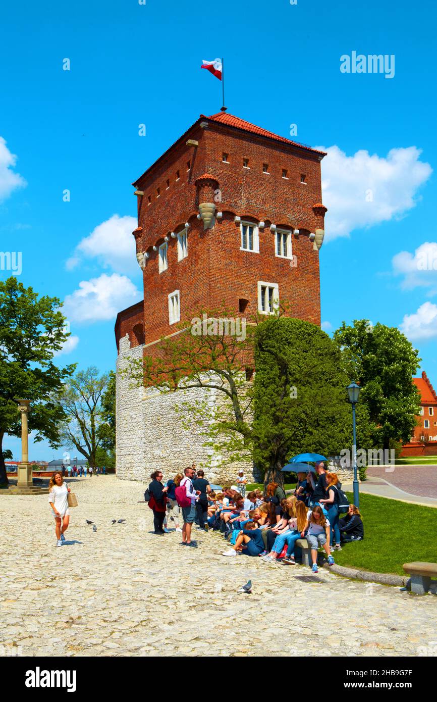 Poland, Cracow, Wawel castle, Thief Tower. Stock Photo