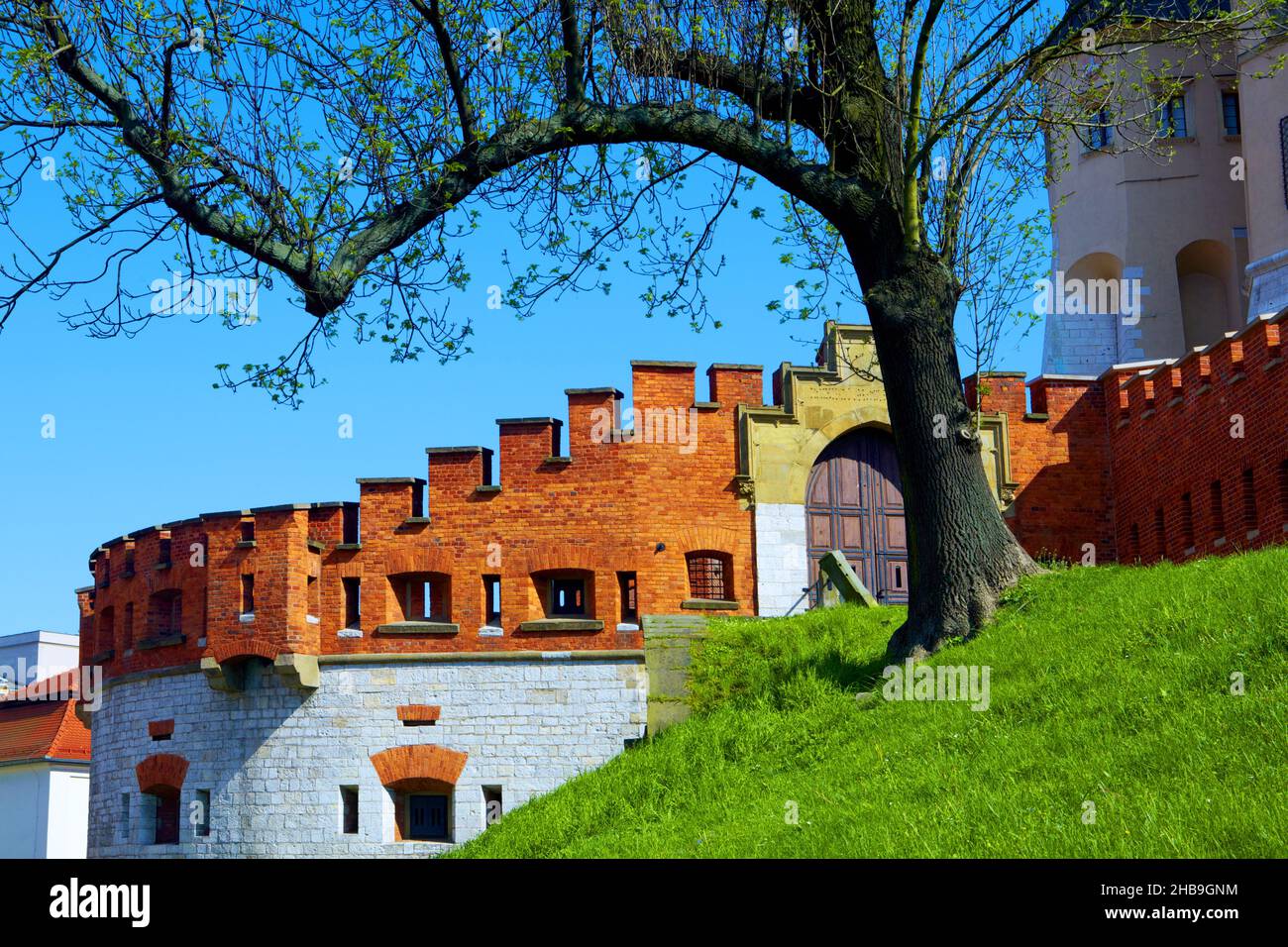 Poland, Cracow, Wawel castle, walls. Stock Photo