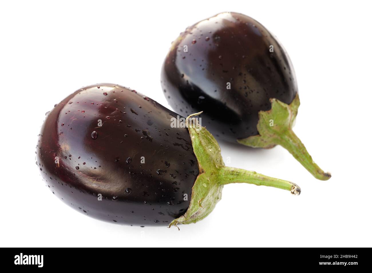 Цветение баклажана. Баклажан картофель растение. Фитофтороз на рассаде томатов. Баклажан черный принц. Баклажан ботаническая иллюстрация.