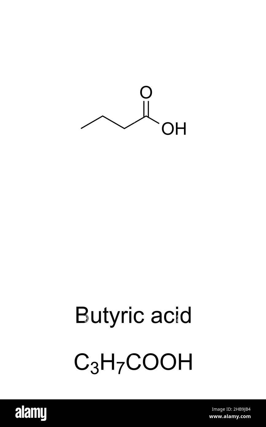 Butyric acid, also known as butanoic acid, chemical formula and structure. An oily, colorless liquid with an unpleasant odor. Stock Photo