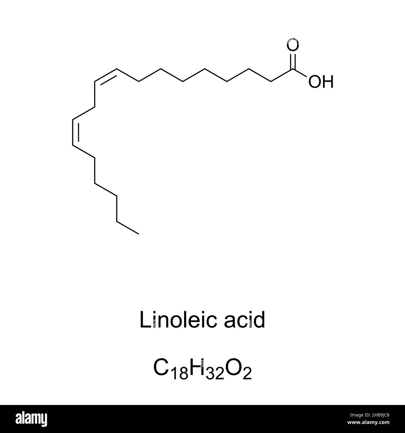 Linoleic acid, chemical formula. Polyunsaturated omega-6 essential fatty acid. It is abundant in safflower, sunflower, and corn oil. Stock Photo