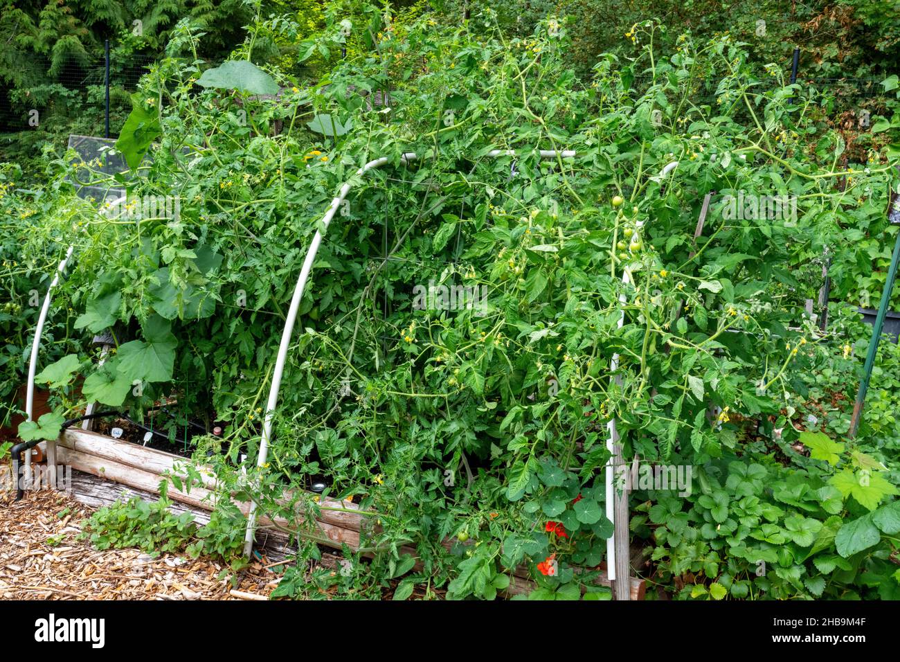 Overflowing plants hi-res stock photography and images - Alamy