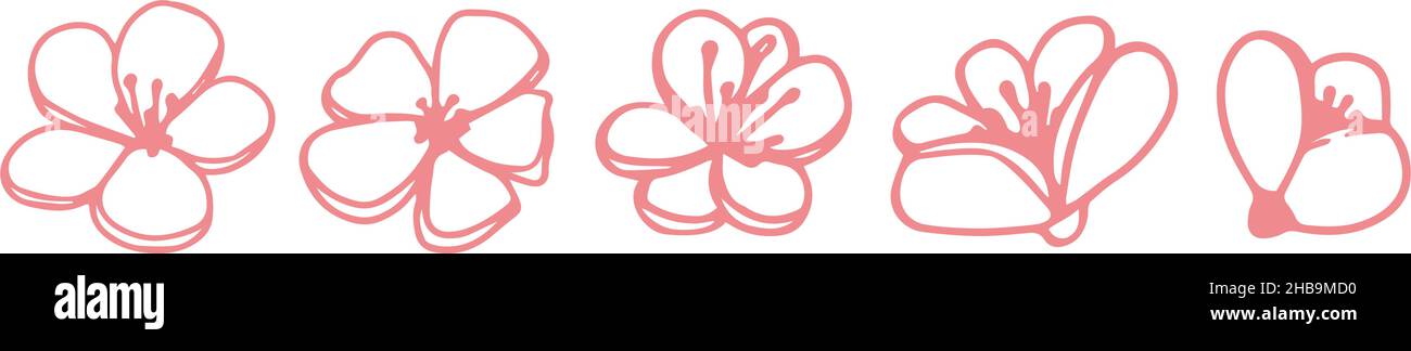 Vector set silhouettes of five hand drawn pink magnolia flowers isolated on white background. Vector illustration. Flowers spring doodle, sketch illustrations Stock Vector