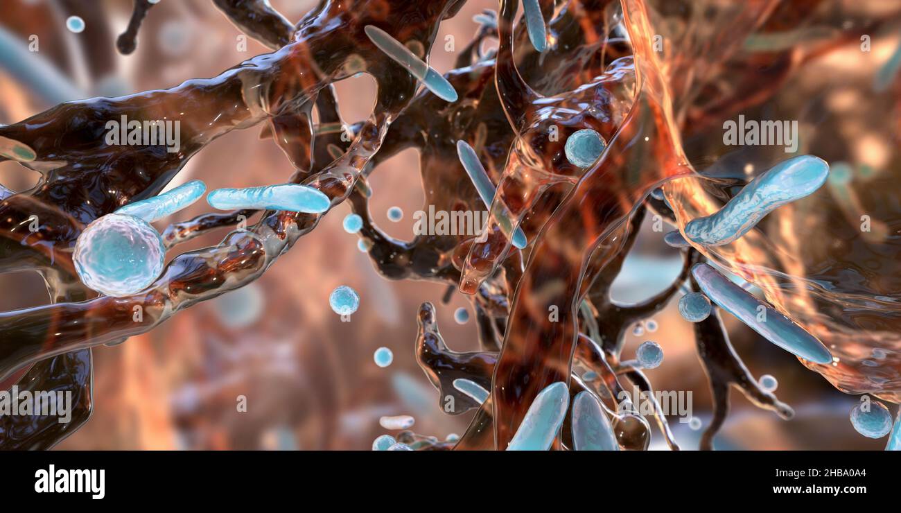 Spherical bacteria and rodshaped bacteria inside biofilm, illustration. A biofilm is a colony
