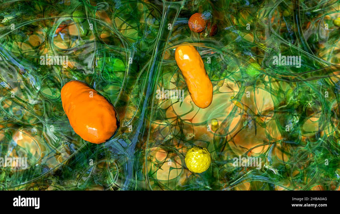 Spherical bacteria and rodshaped bacteria inside biofilm, illustration. A biofilm is a colony