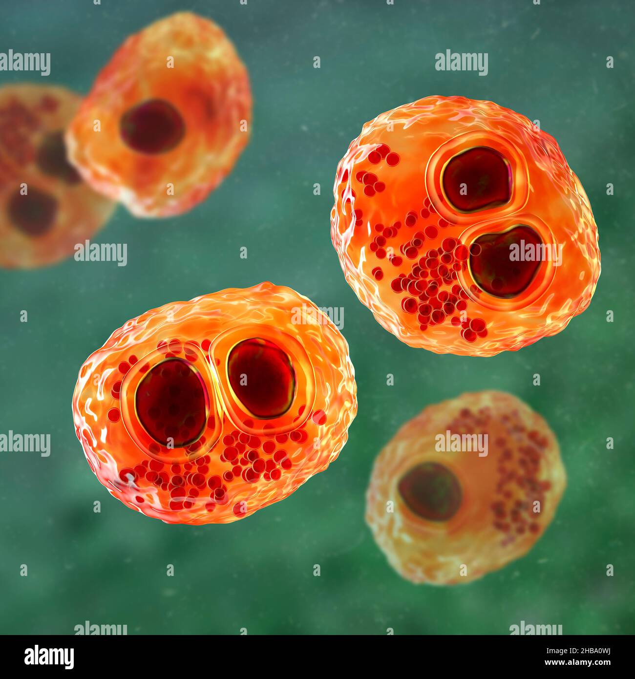 https://www.alamy.com/licenses-and-pricing/?v=1