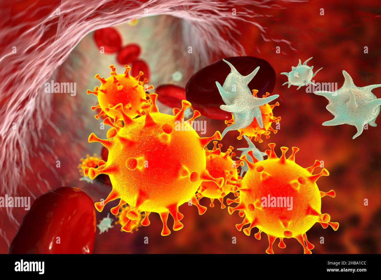COVID19 virus particles and activated platelets in blood stream