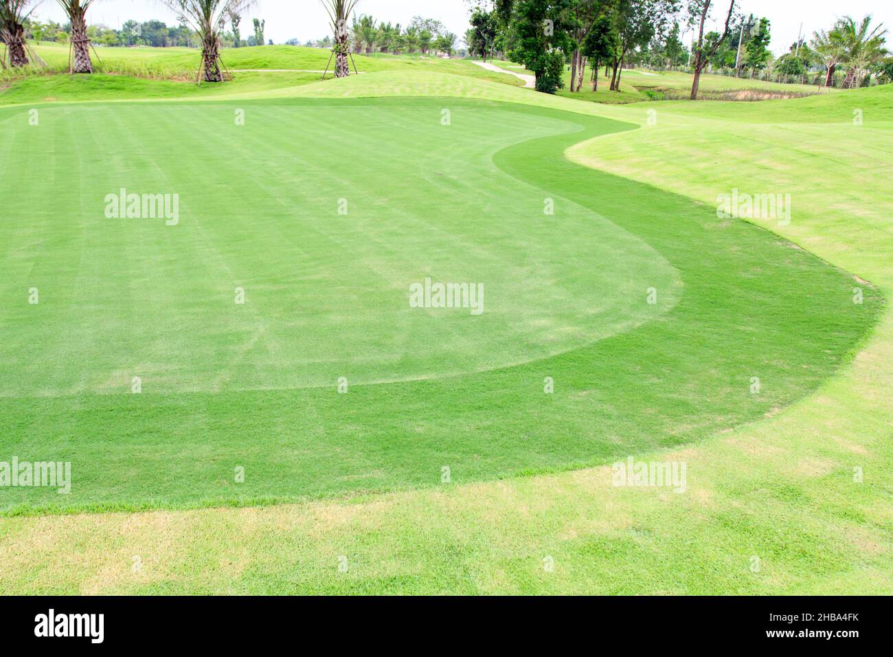 Golf courses green grass Stock Photo Alamy