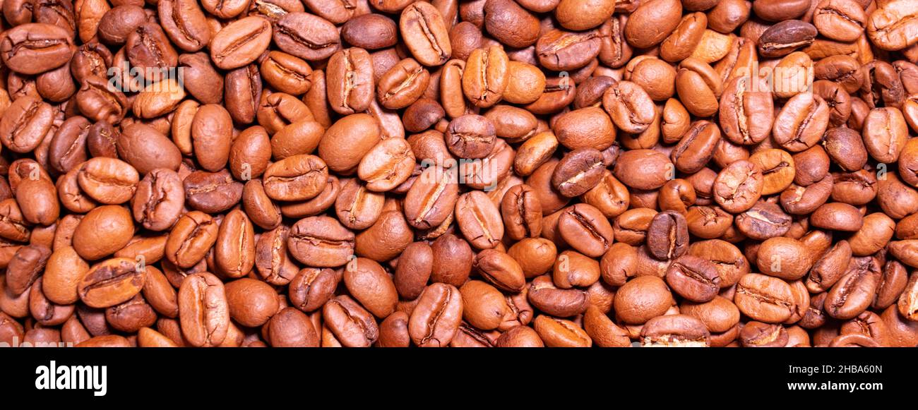Roasted arabica coffee bean full frame backdrop background texture ...