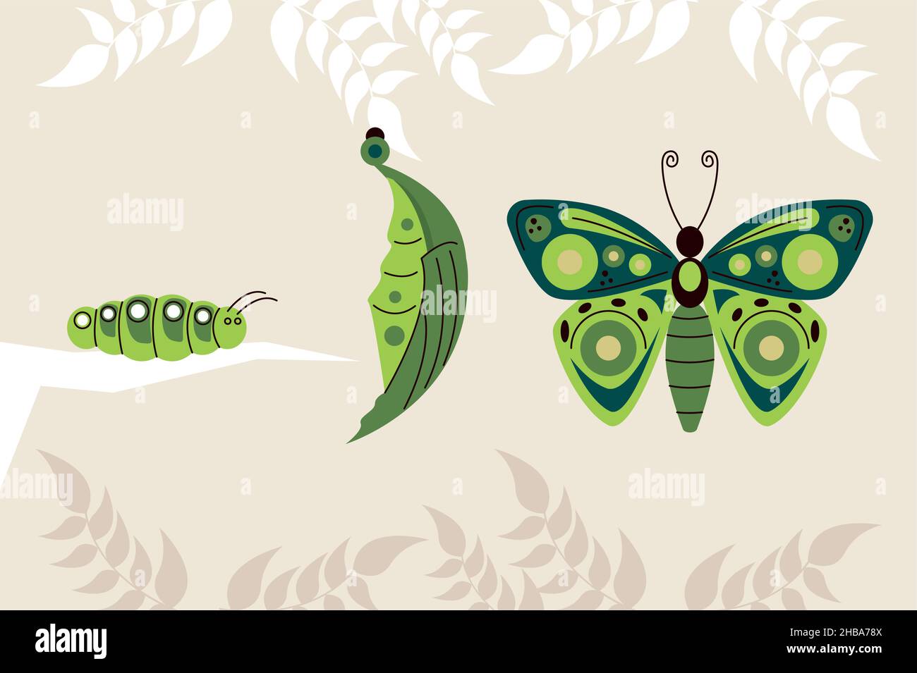 two caterpillars and butterfly Stock Vector Image & Art Alamy