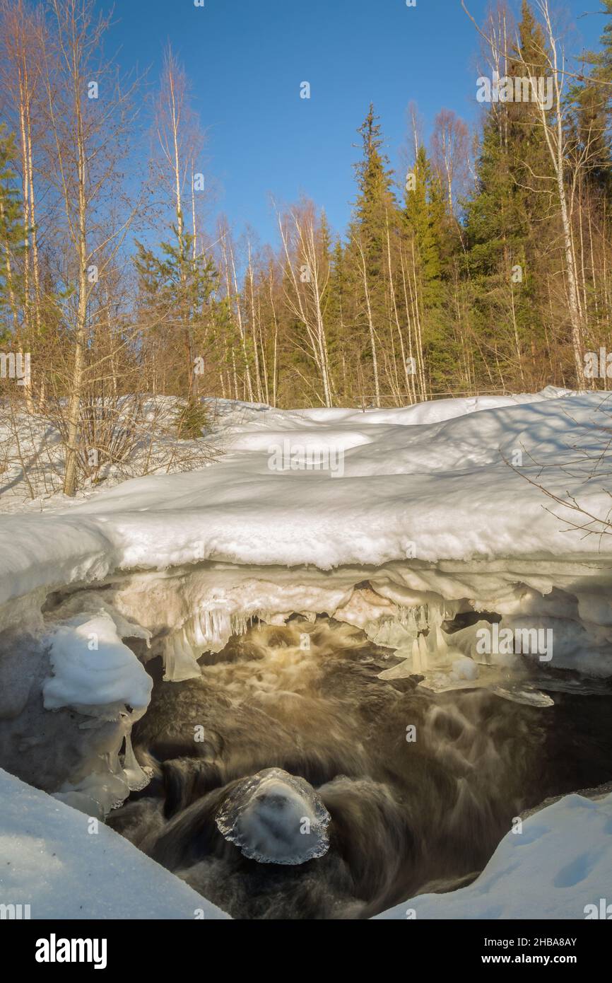 rock with ice laying in fast moving river with snow and forest Stock Photo