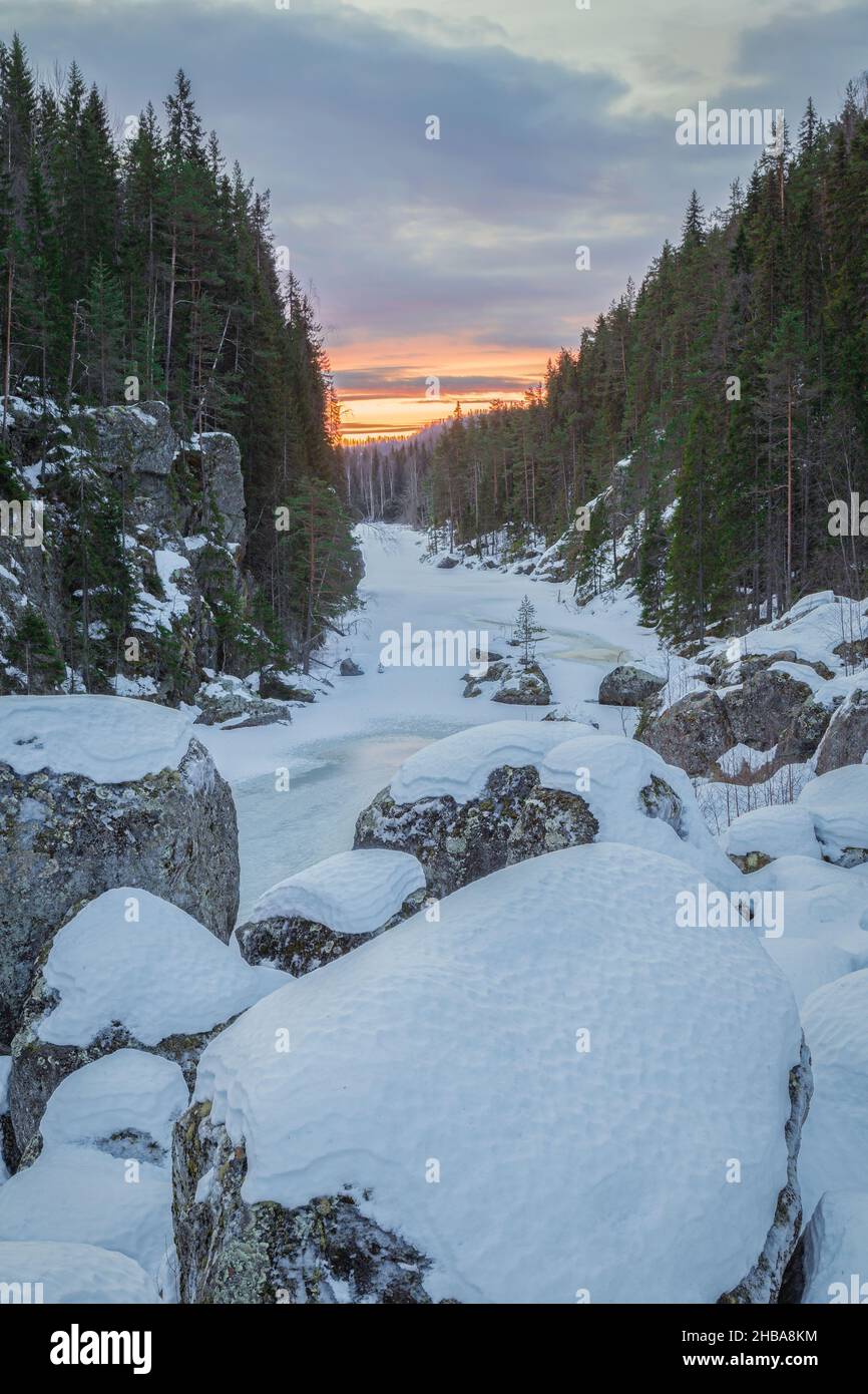 trees with river and rocks and snow in a forest Stock Photo