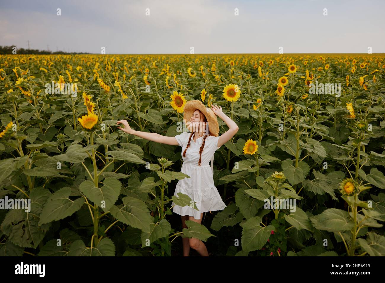 woman with pigtails in a straw hat in a white dress a field of ...