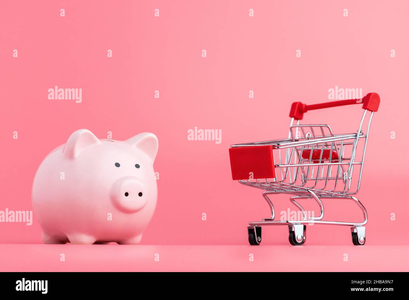 Piggy bank best sale shop online