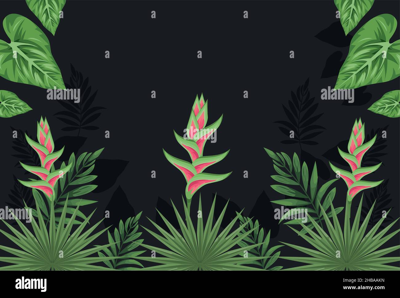 exotic tropical plants frame Stock Vector Image & Art - Alamy