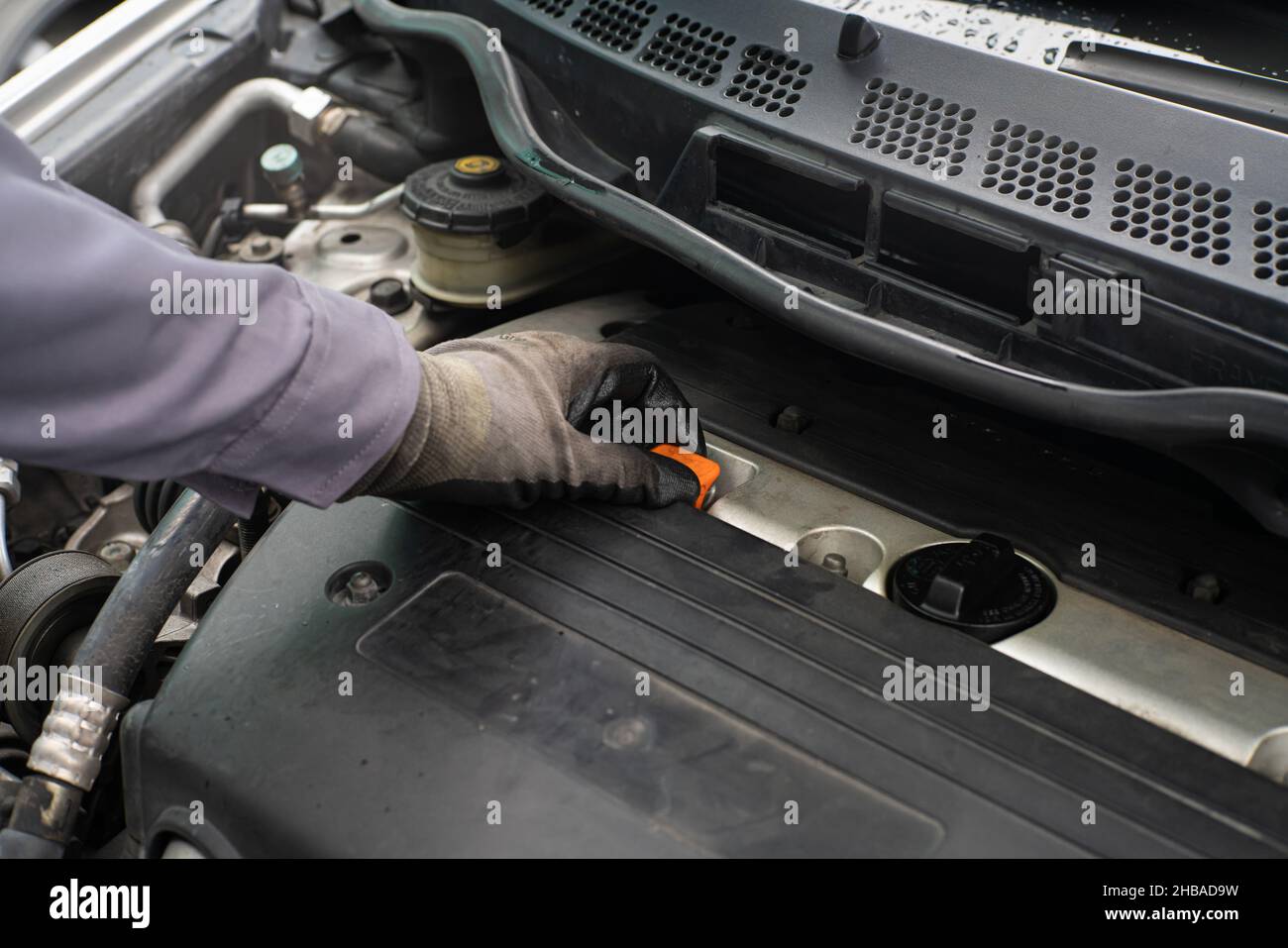 Mechanic man checking engine oil refill car maintenance close up engine Stock Photo Alamy