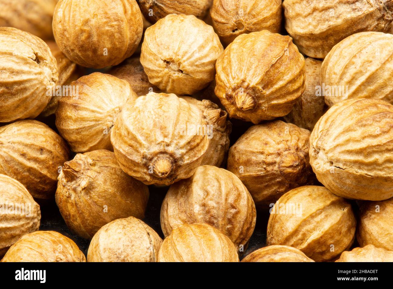 Close up view of true edible spices and seeds Stacking of coriander