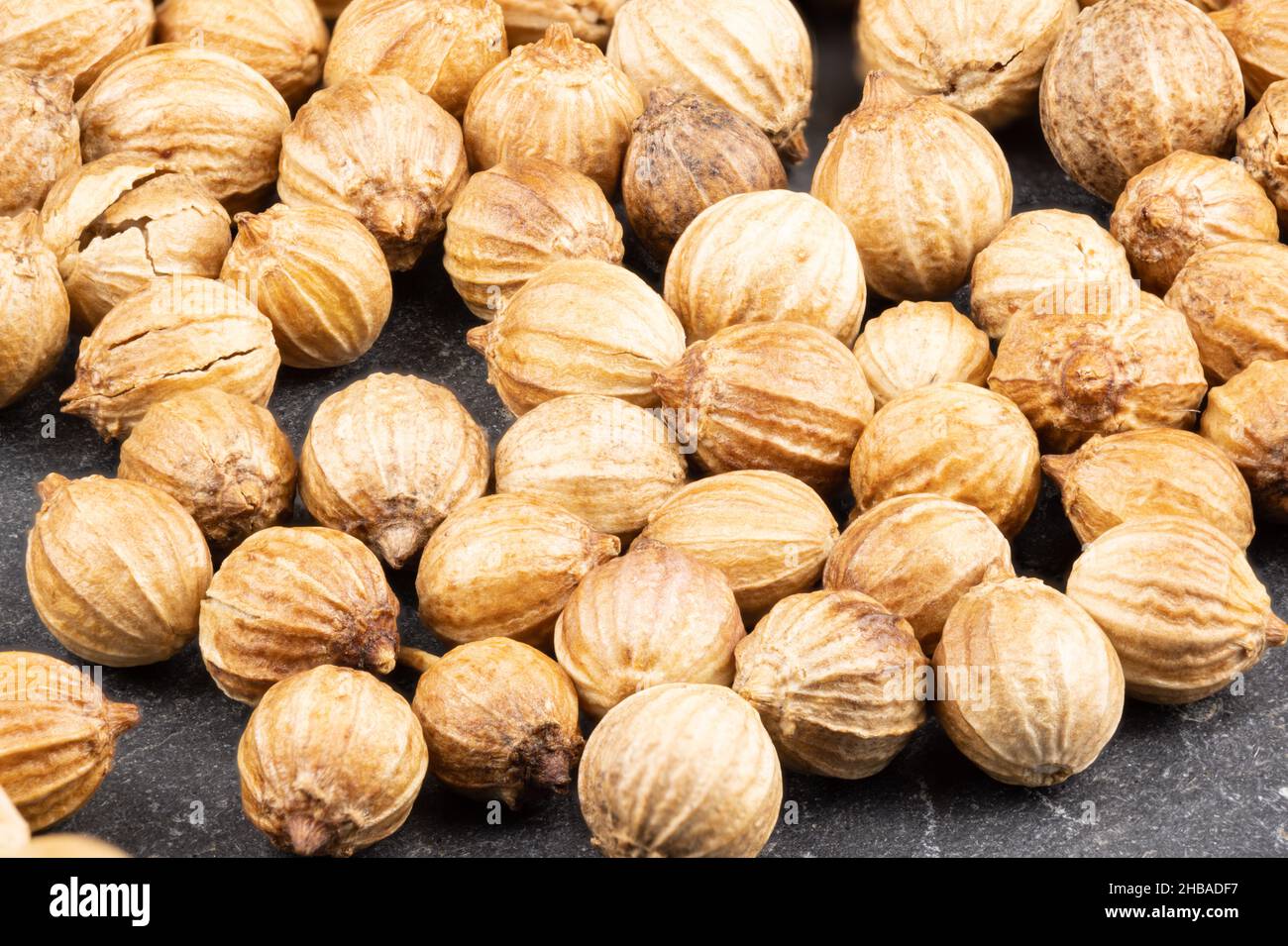 macro of true edible spices and seeds Details of coriander seeds