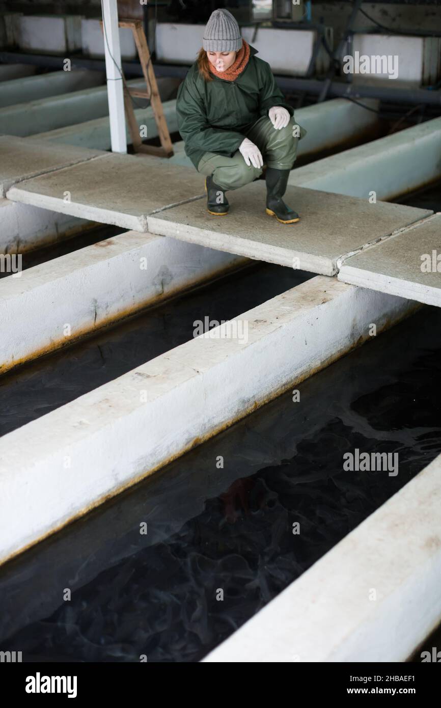 Female near fish tank on sturgeon farm Stock Photo Alamy