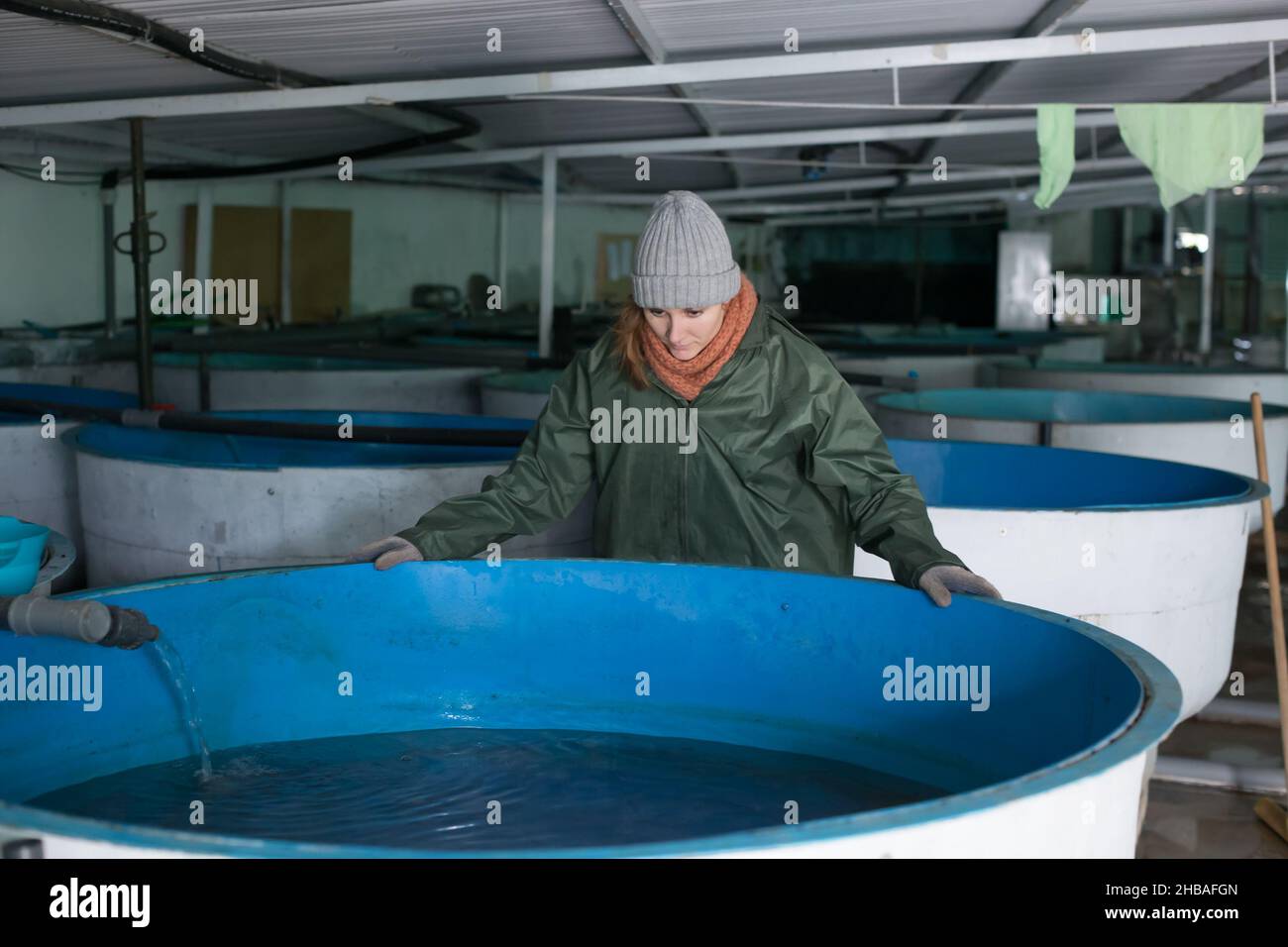 Female near fish tank on sturgeon farm Stock Photo Alamy