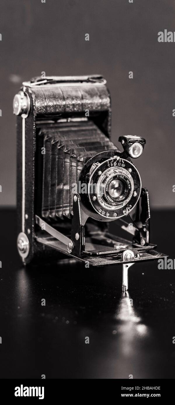 Vertical shot of a vintage camera in grayscale Stock Photo